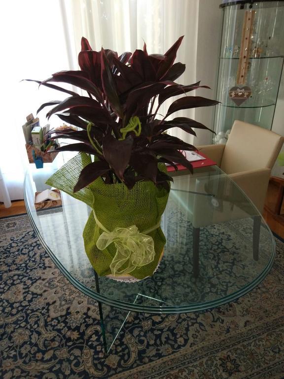 Marinella B&B Cornale エクステリア 写真